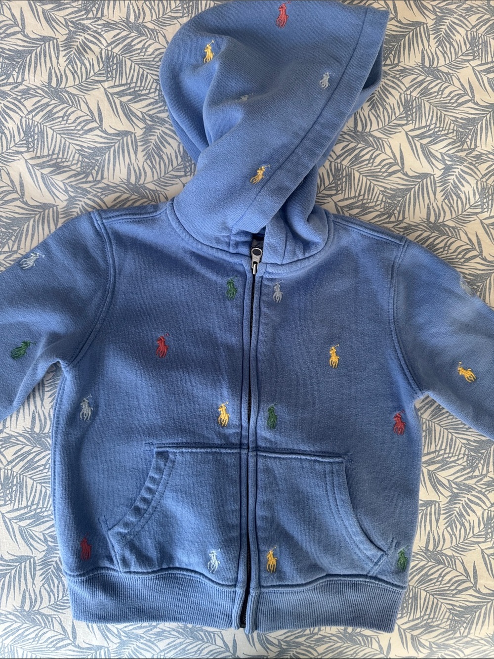 Ralph Lauren Baby (24m) Blue Hoodie with Multicolor Polo Embroidery
